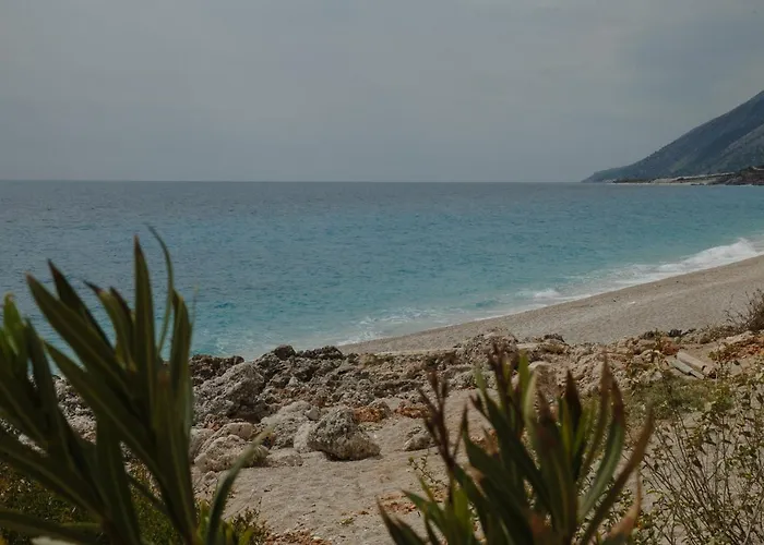 Gemina 34 * Vlore